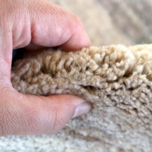 A close-up image of a hand holding a piece of beige carpet.