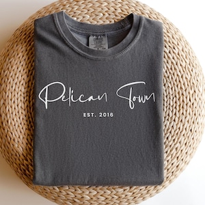 Pelican Town Stardew Valley T-Shirt: Comfort Colors Gamer Tee