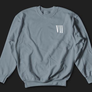 May include: A light blue sweatshirt with a white Roman numeral VII printed on the front.