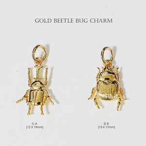 1PCS- Gold Beetle Bug Charm, NP-2606, Gold Plated Brass, Insect Pendant, Bug Necklace Charm