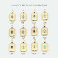 1PCS, Cubic Birthstone Rectangle Pendant, X0082, Gold Plated Brass, 7X14mm Textured Medallion, Oval CZ Birth Stone Pendant