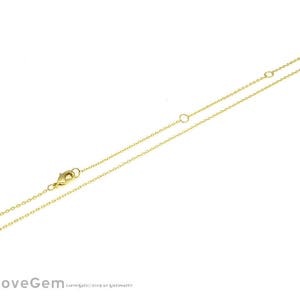 Puede incluir: Un collar de cadena de oro con cierre de langosta.