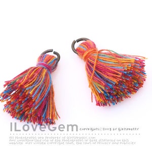 TA-029 Tassel, Multi Rainbow, B ColorCotton, 23mm, 2pcs image 1