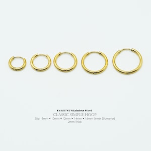 2PCS- Classic Simple Hoop Earrings, NP-2483, Gold PVD Stainless Steel, Hinged Hoop, 2mm Thick, 8mm, 10mm, 12mm, 14mm, 16mm Inner Diameter