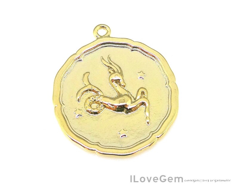 12CO2103GGO 1pc of Capricorn Glossy Gold 18mm Coin Zodiac Etsy