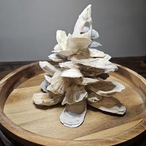 May include: A white oyster shell tree sculpture on a wooden tray. The shells are arranged in a tree shape, with the largest shell at the top and smaller shells branching out from it.