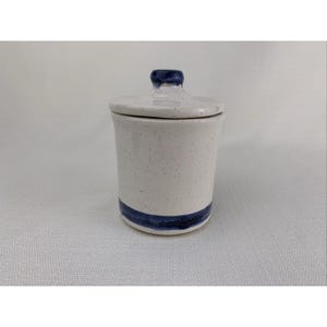 May include: A white ceramic jar with a lid. The jar has a speckled design and a blue stripe around the base. The lid has a blue knob. The jar is likely used for storing food or other small items.