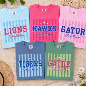 May include: Five crewneck t-shirts in light blue, hot pink, light pink, slate blue, and sage green. Each shirt features vertical stripes, a team name in block letters, the text "School Name" in script, and small star accents on the front.
