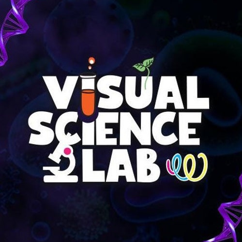 VisualScienceLab - Etsy