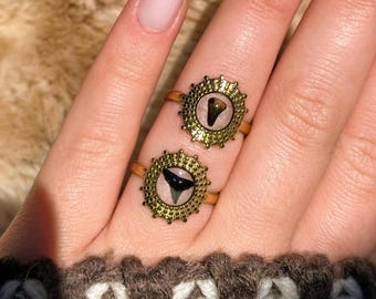 Shark Tooth Ring - Surgical Steel Waterproof & Hypoallergenic Ring (Sundial shell)