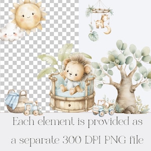 High-quality watercolor baby lion PNG clipart with transparent background, safari nursery elements, and tropical jungle decorations.