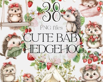 Hedgehog Baby clipart, Baby Hedgehog PNG, Hedgehog PNG bundle, Hedgehog Clipart, Hedgehog Baby Shower Clipart, Adorable Hedgehog Clipart