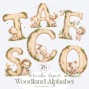 Könnte beinhalten: Eine Sammlung von Aquarell-Alphabetbuchstaben mit Holzmaserung, Moos-Akzenten und verschiedenen Waldtieren wie Bären, Füchsen, Igeln und Kaninchen. Das Bild enthält den Text 26 FILES, watercolor clipart und Woodland Alphabet.