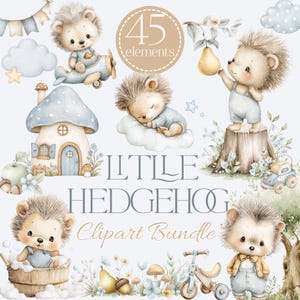 Woodland nursery hedgehog clipart bundle with 45 watercolor forest animal elements for baby boy nursery designs