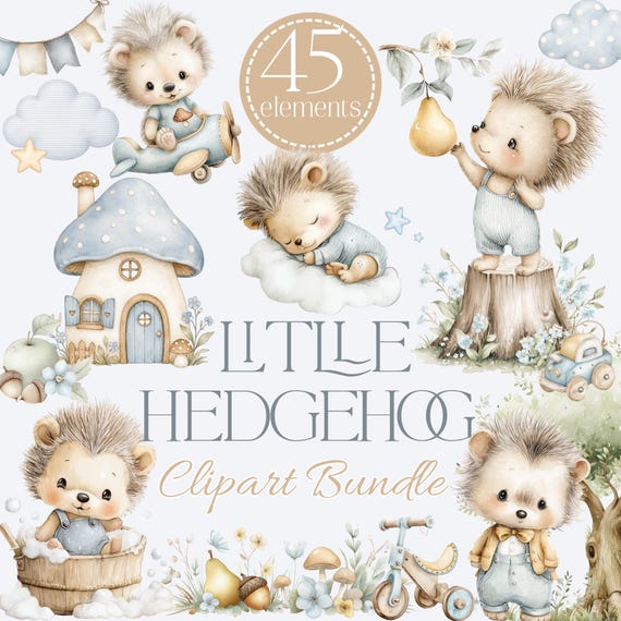 Hedgehog Clipart PNG, Woodland Nursery Bundle, Forest Animals Clipart, Baby  Boy Nursery, Storybook Animals, Watercolor Hedgehog Graphics