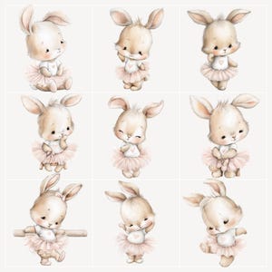Ballerina Bunny Clipart PNG