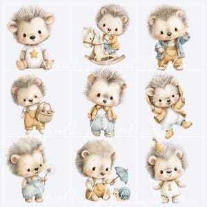 Cute watercolor hedgehog clipart characters for woodland nursery and baby boy projects