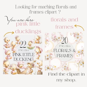 May include: Digital clipart set featuring pink little ducklings and floral frames. The image includes 22 PNG files of ducklings and 20 PNG files of florals and frames. Text includes "Pink Little Duckling" and "Florals & Frames".