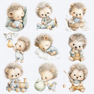Cute watercolor hedgehog clipart characters for woodland nursery and baby boy projects