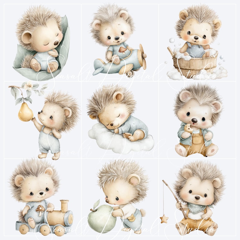 Cute watercolor hedgehog clipart characters for woodland nursery and baby boy projects