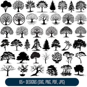 Baum-Svg-Bundle, Baum des Lebens-Svg-Png, Baum-Clipart, Baum-Schnitt-Datei für Circut, Baum-Vektorgrafik, Baum-Silhouette, Baum-Svg-Png, Stammbaum-Svg-Png