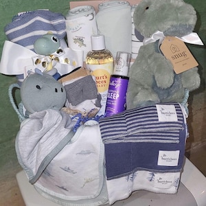 Panier cadeau dinosaure pour bébé garçon : peluche, couverture et Burt&#39;s Bees