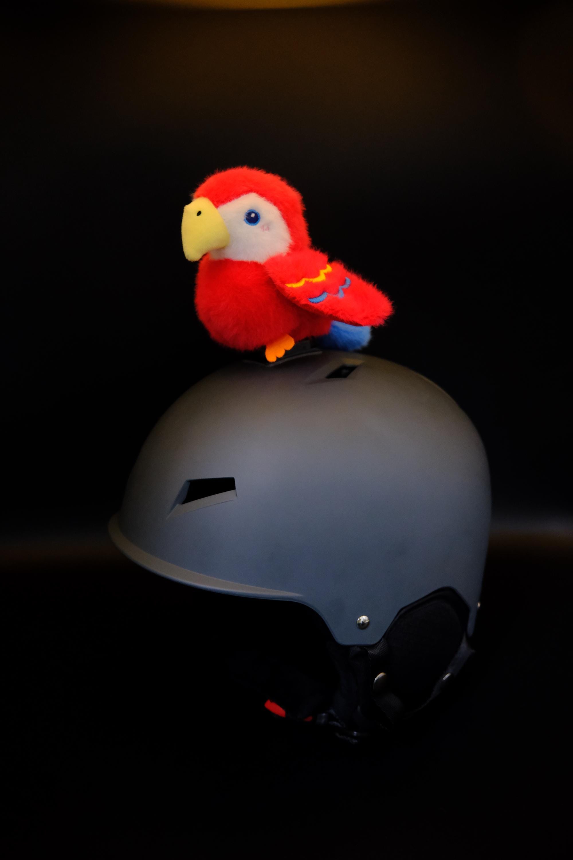 casco mt helmets speed MT Helmets Philippines  | Unleash the speed demon within.  Embrace  the aerodynamic prowess of the MT Atom 2 helmet - engineered for those who  live life in the