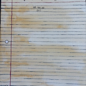 May include: A watercolour painting on lined paper. The text reads "Carson Mc Cullers' Age When she got her first typewriter." Below the text are tally marks representing the number 15.