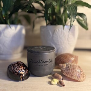 Pode incluir: Um frasco de vela cinza com uma tampa preta e o texto "Maunalani Co. Aloha Inspired" na frente. O frasco de vela está sentado em uma mesa com conchas e uma planta no fundo.