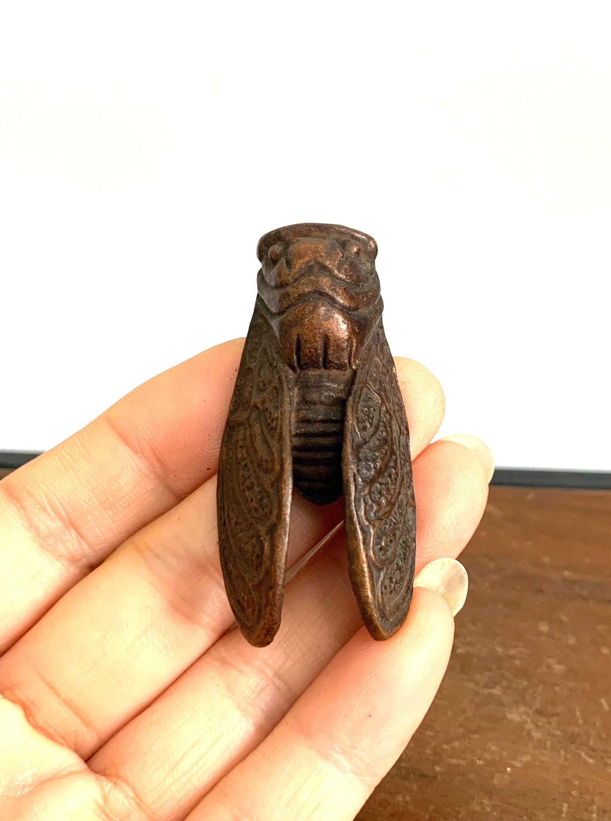 Bronze Carved Cicada Statue. Exquisite Piece, Captivating Work - Etsy