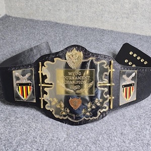 Może przedstawiać: Czarny pas mistrzowski w zapasach ze złotymi i srebrnymi akcentami. Pas posiada centralną płytę z napisem "WTDG TOURNAMENT CHAMPION" oraz dwie boczne płyty z motywem tarczy i orła. Pas jest wykonany ze skóry.