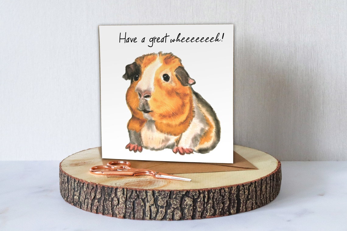 Funny Guinea Pig Card for Mother's Day Valentine's Etsy