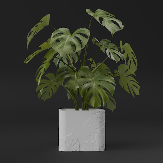 STL File: Plant Pots Monstera - Etsy