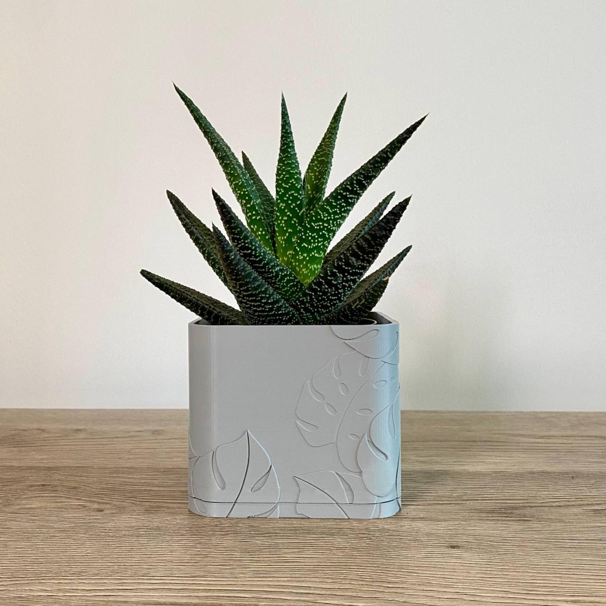 Moderner Monstera Blumentopf  Minimalistischer Pflanzentopf mit  versteckter Drainage | 3D gedrucktes, umweltfreundliches Design - Etsy.de