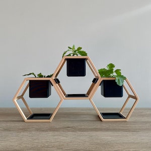 Può includere: Un portapiante in legno a forma di nido d'ape con tre vasi quadrati neri, ognuno con una piccola pianta verde. Il supporto è realizzato in legno chiaro e poggia su una superficie in legno. Il design è moderno e geometrico.