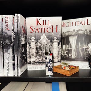 May include: A bookshelf displays several books with titles like "Kill Switch" and "Nightfall" by Penelope Douglas. A decorative lighter and a small wooden tray with miniature objects are also present. The books are arranged vertically, with the spines facing forward.
