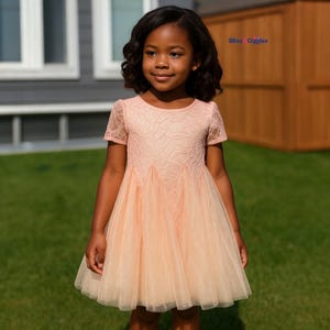 Peach Lace Tulle Dress for Girls | Birthday Party Dress | Toddler Girl Princess Dress | Flower Girl Dress