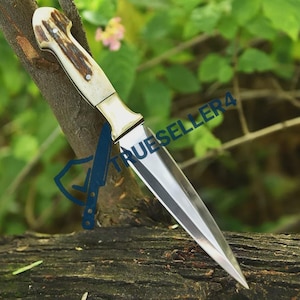 May include: A dagger with a polished steel blade and a handle made of bone and brown material. The handle has a curved design. The dagger is displayed on a wooden surface with a blurred green background.