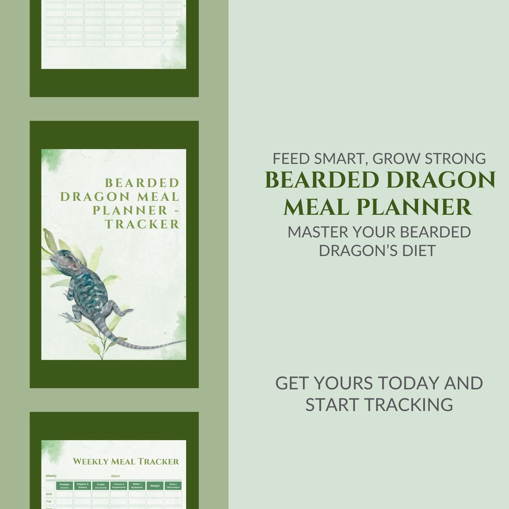 Bearded Dragon Meal Planner | Reptile Feeding Tracker | Daily & Weekly ... - Bearded Dragon And Snake Nutrition And Feeding Schedule Template