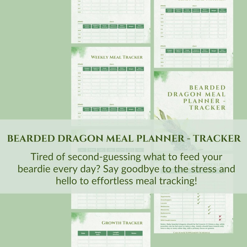 Bearded Dragon Meal Planner | Reptile Feeding Tracker | Daily & Weekly ... - Bearded Dragon And Snake Nutrition And Feeding Schedule Template