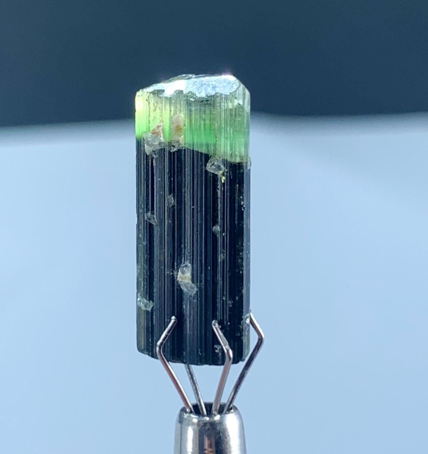 グリーンキャップトルマリン結晶標本：スタクナラパキスタン、2グラム