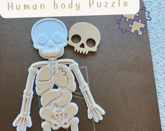 Montessori-Lernpuzzle „Menschlicher Körper“ (kommerziell) – STL-Dateien
