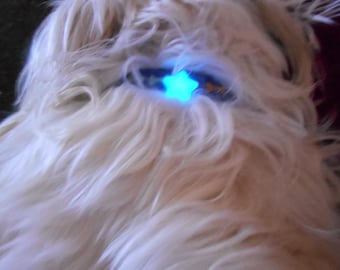 Pet tag Glow in the dark charm Dog Tags Cat Tags Pet Tag Dog Jewelry Cat Jewelry Key Charm Phone Charm Purse Charm collar charm