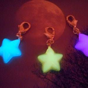 Glow in the dark Pet Tag Dog Jewelry Cat Jewelry Key Charm Phone Charm Purse Charm collar charm Dog Tags Cat Tags image 2