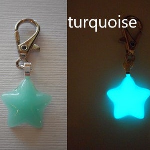 Glow in the dark Pet Tag Dog Jewelry Cat Jewelry Key Charm Phone Charm Purse Charm collar charm Dog Tags Cat Tags turquoise