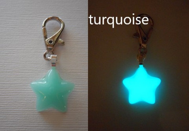 Glow in the dark Pet Tag Dog Jewelry Cat Jewelry Key Charm Phone Charm Purse Charm collar charm Dog Tags Cat Tags turquoise