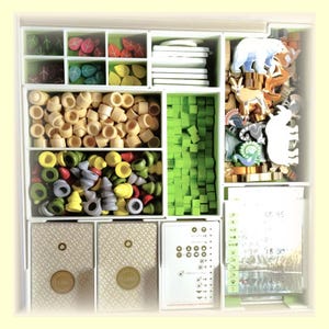 Peut inclure: Un organisateur de jeu de société rempli de diverses pièces de jeu en bois. Les pièces comprennent des cubes verts, des cylindres beiges et des formes de feuilles et d'animaux colorées. La boîte de jeu contient également des cartes et une feuille de règles.