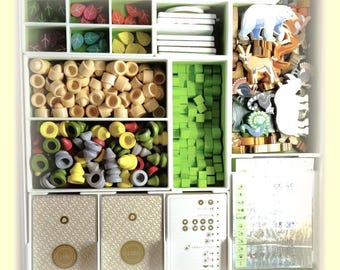 Pode incluir: Um organizador de jogos de tabuleiro cheio de várias peças de jogo de madeira. As peças incluem cubos verdes, cilindros bege e formas coloridas de folhas e animais. A caixa do jogo também contém cartas e uma folha de regras.