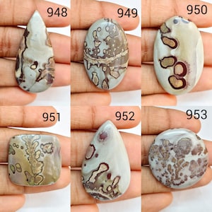 May include: Six polished cabochon gemstones labelled 948 through 953. Each stone features unique patterns in shades of beige, brown, and grey. Shapes include teardrops, ovals, a square, and a circle, all displaying natural mineral inclusions.