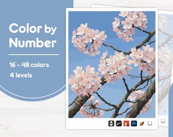 Pink Cherry Blossoms - Color by Number - Digital & Printable - 4 Levels